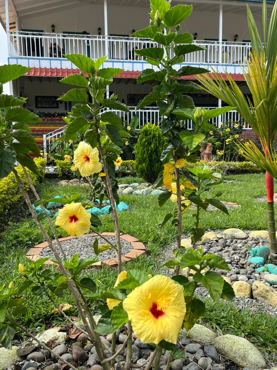 Flores Jardín Eje Cafetero